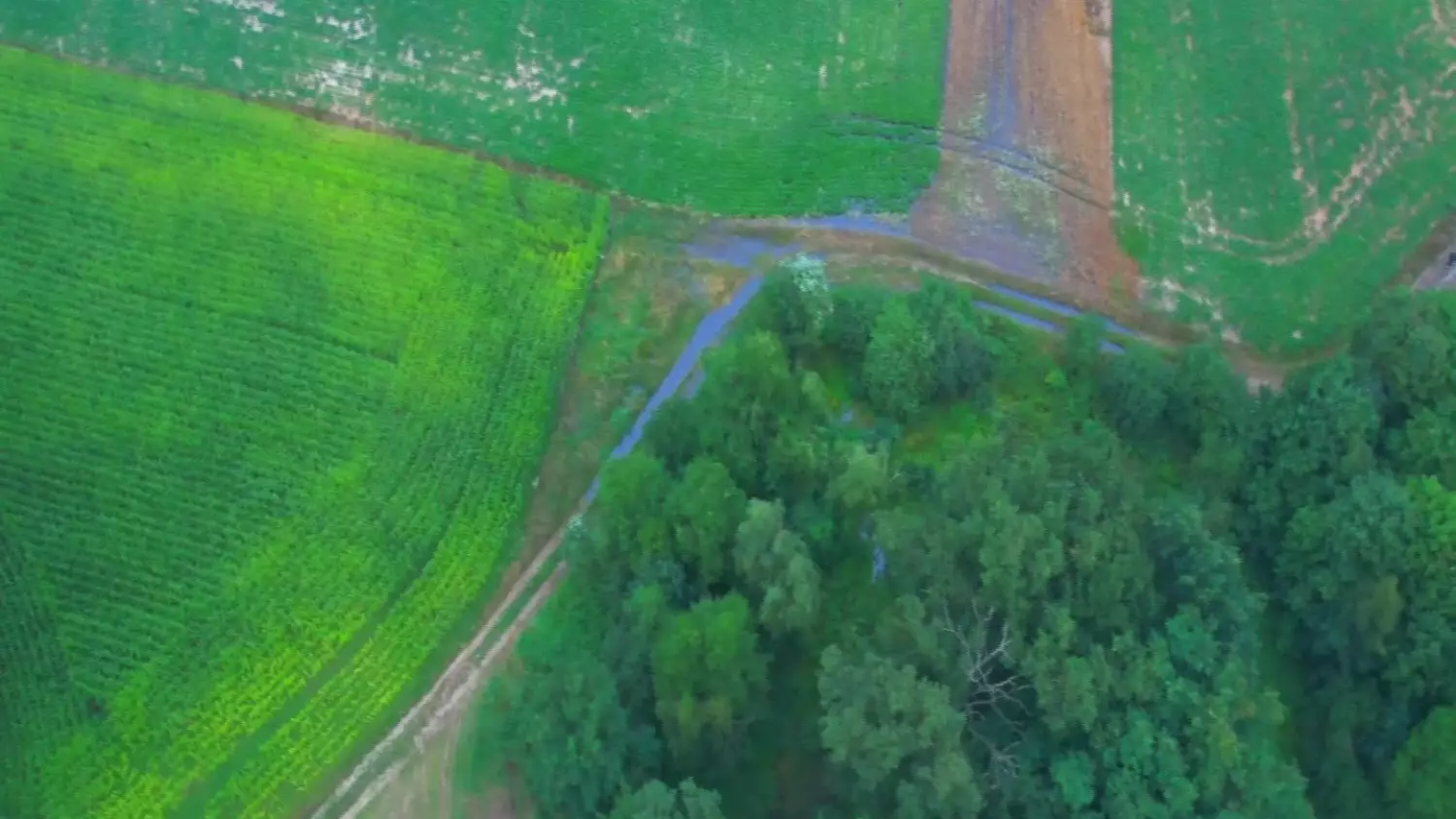 Rurociąg Przyjaźń rozszczelnienie