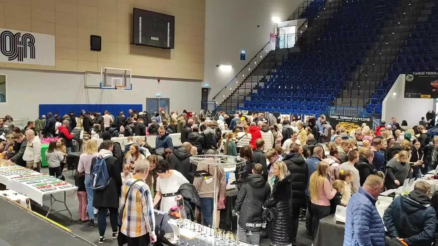 Gady opanowały Halę OSiR. Trwają Targi Terrarystyczne