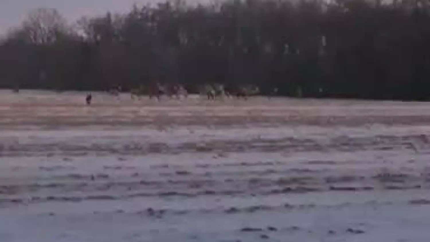 Wieniec Zalesie nadesłał p. Krzysztof